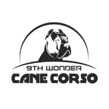 Logo Design By Online Pro Designs Atlanta GA | Marketing Graphics By Online Pro Designs Atlanta GA | Graphic Design By Online Pro Designs Atlanta GA