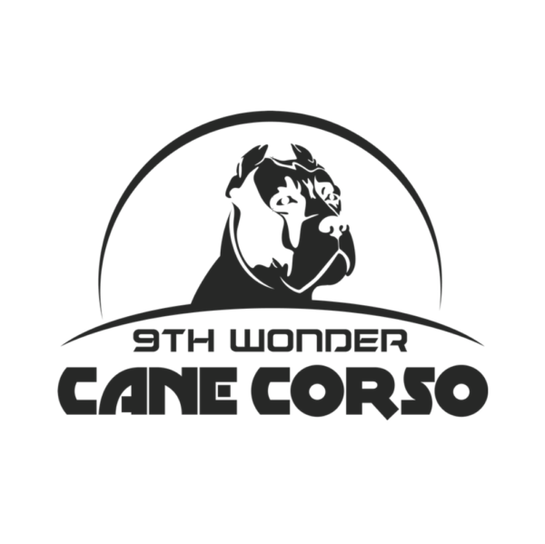 Logo Design By Online Pro Designs Atlanta GA | Marketing Graphics By Online Pro Designs Atlanta GA | Graphic Design By Online Pro Designs Atlanta GA